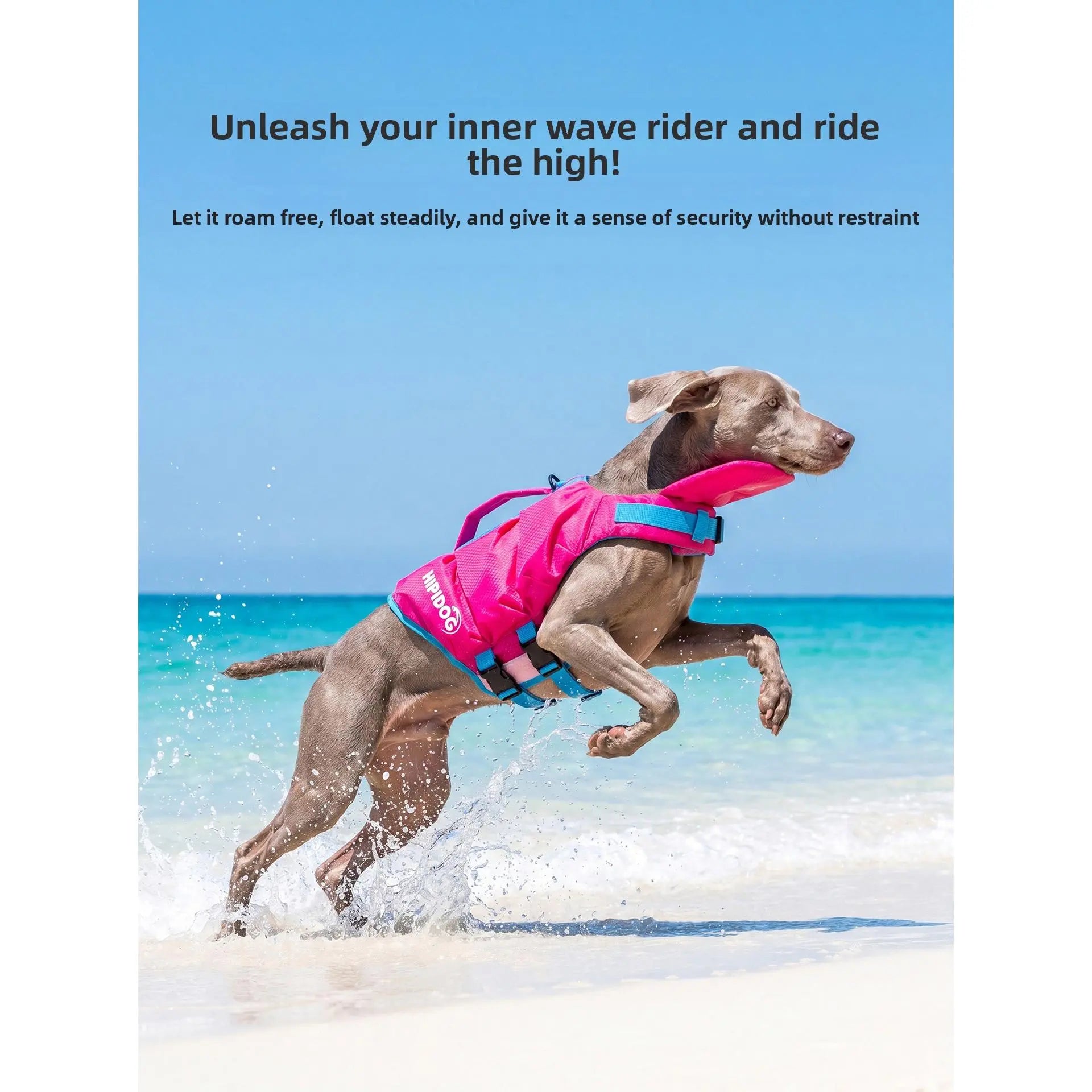 Dog Life Jacket - High-Visibility Pet Safety Gear with Quick-Dry Fabric and Head Support for Enhanced Water Safety in Pool and Lake Activities
