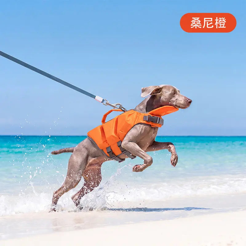 Dog Life Jacket - High-Visibility Pet Safety Gear with Quick-Dry Fabric and Head Support for Enhanced Water Safety in Pool and Lake Activities