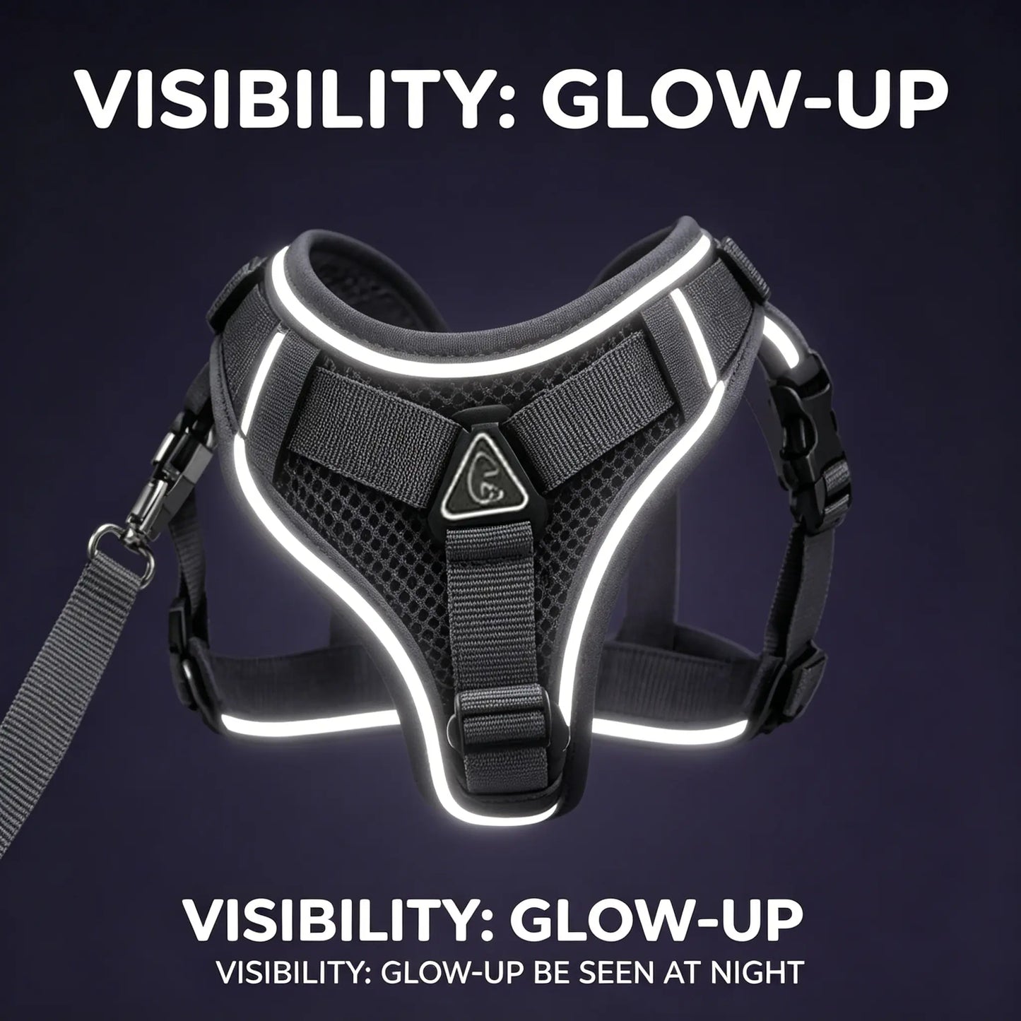 Escape-Proof Cat Harness and Leash Set - Adjustable, Comfortable, and Breathable with Reflective Strip and Soft Mesh Vest for Safe Walking, Includes Summer Version