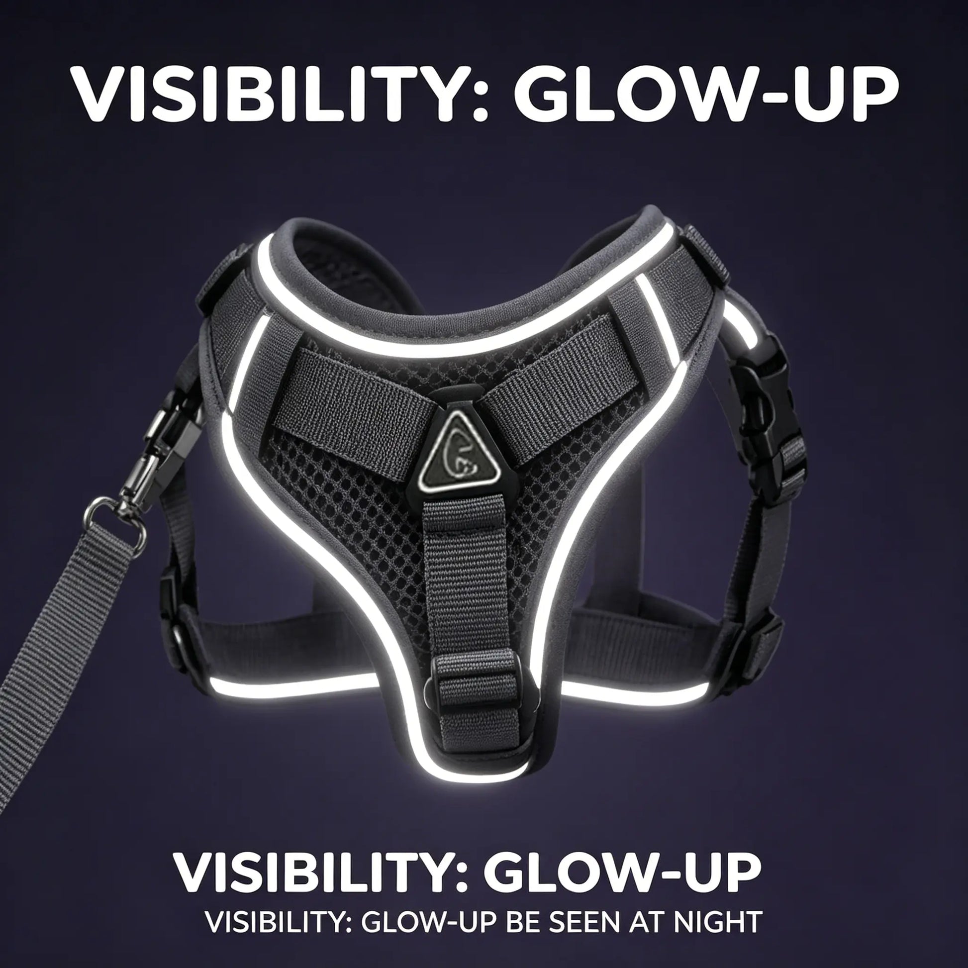 Escape-Proof Cat Harness and Leash Set - Adjustable, Comfortable, and Breathable with Reflective Strip and Soft Mesh Vest for Safe Walking, Includes Summer Version