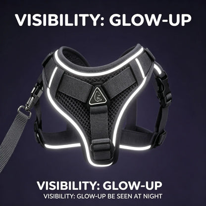 Escape-Proof Cat Harness and Leash Set - Adjustable, Comfortable, and Breathable with Reflective Strip and Soft Mesh Vest for Safe Walking, Includes Summer Version