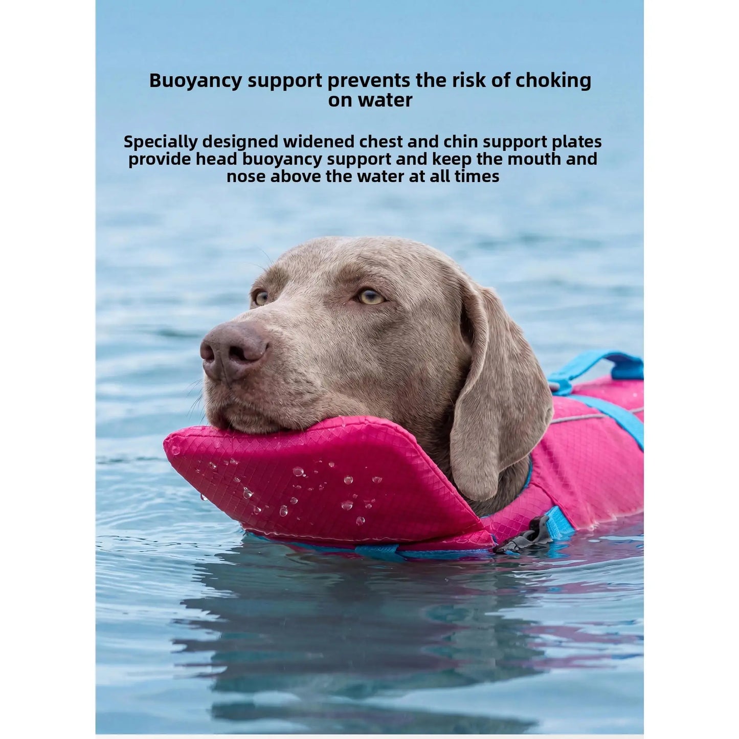 Dog Life Jacket - High-Visibility Pet Safety Gear with Quick-Dry Fabric and Head Support for Enhanced Water Safety in Pool and Lake Activities